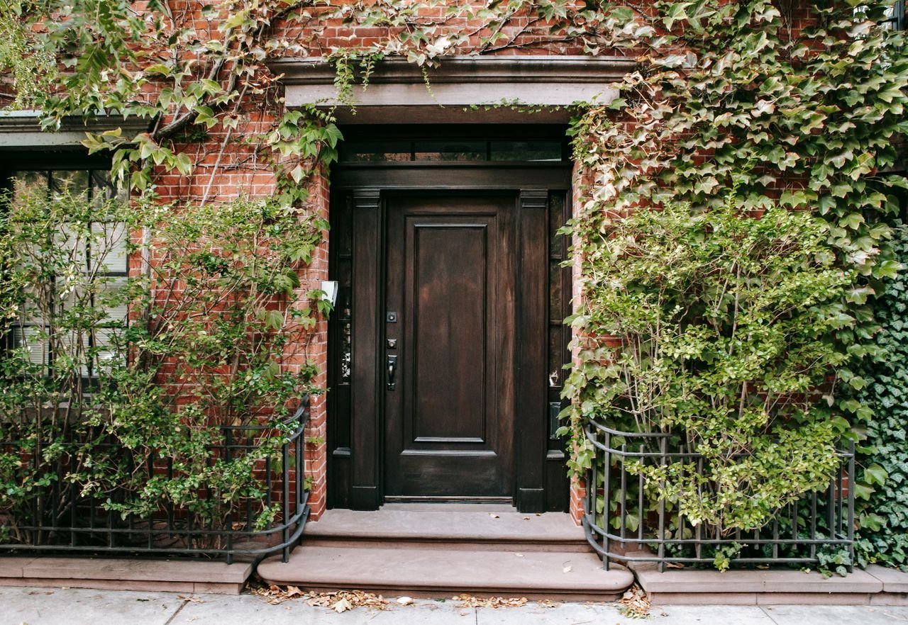 Exterior of residential building with green plants and wooden old door in daytime